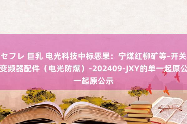 セフレ 巨乳 电光科技中标恶果：宁煤红柳矿等-开关及变频器配件（电光防爆）-202409-JXY的单一起原公示