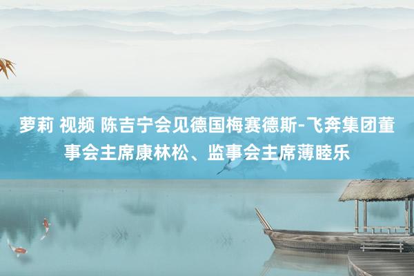 萝莉 视频 陈吉宁会见德国梅赛德斯-飞奔集团董事会主席康林松、监事会主席薄睦乐