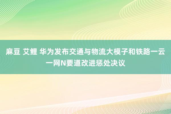 麻豆 艾鲤 华为发布交通与物流大模子和铁路一云一网N要道改进惩处决议