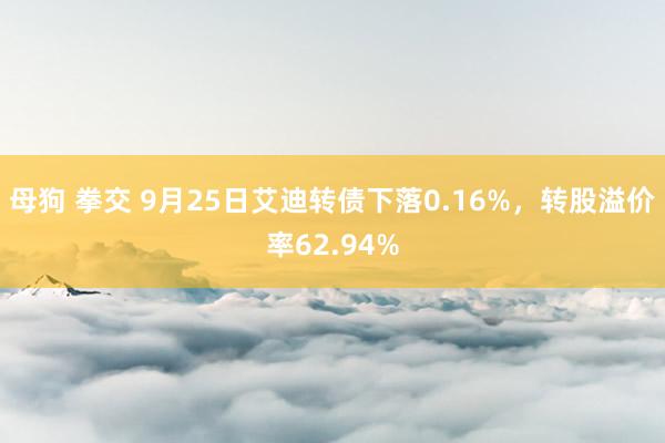 母狗 拳交 9月25日艾迪转债下落0.16%，转股溢价率62.94%