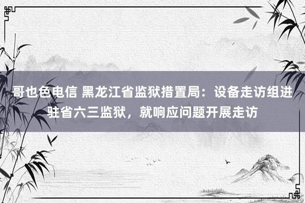 哥也色电信 黑龙江省监狱措置局：设备走访组进驻省六三监狱，就响应问题开展走访