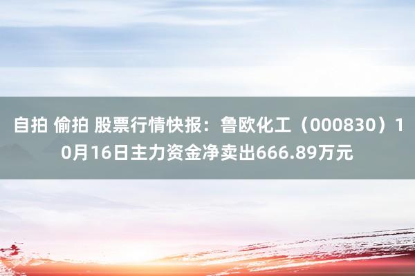 自拍 偷拍 股票行情快报：鲁欧化工（000830）10月16日主力资金净卖出666.89万元