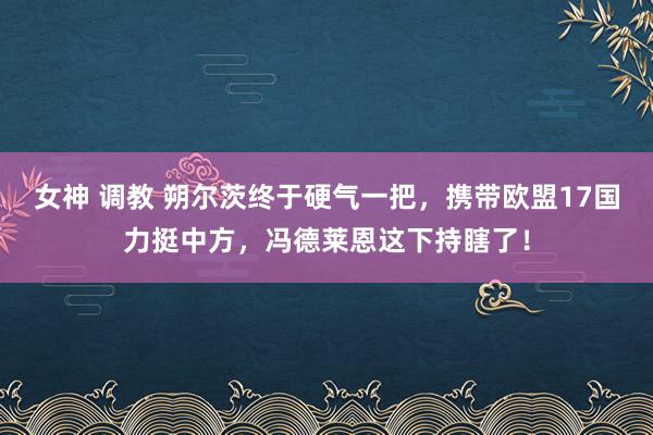 女神 调教 朔尔茨终于硬气一把，携带欧盟17国力挺中方，冯德莱恩这下持瞎了！