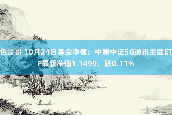 色哥哥 10月24日基金净值：中原中证5G通讯主题ETF最新净值1.1499，跌0.11%