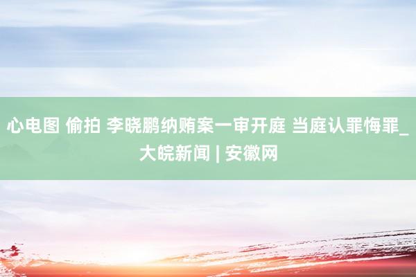 心电图 偷拍 李晓鹏纳贿案一审开庭 当庭认罪悔罪_大皖新闻 | 安徽网