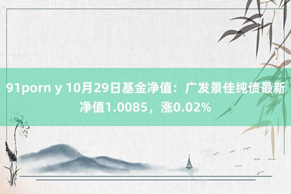 91porn y 10月29日基金净值：广发景佳纯债最新净值1.0085，涨0.02%