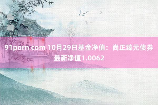 91porn com 10月29日基金净值：尚正臻元债券最新净值1.0062