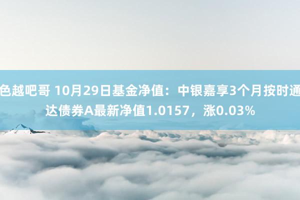 色越吧哥 10月29日基金净值：中银嘉享3个月按时通达债券A最新净值1.0157，涨0.03%