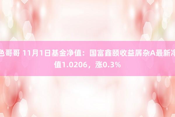 色哥哥 11月1日基金净值：国富鑫颐收益羼杂A最新净值1.0206，涨0.3%