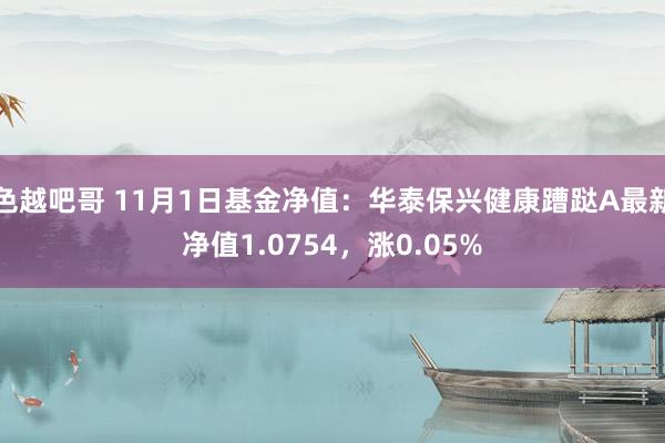 色越吧哥 11月1日基金净值：华泰保兴健康蹧跶A最新净值1.0754，涨0.05%