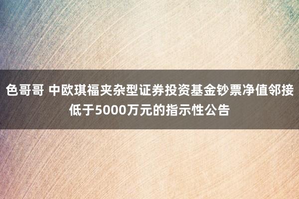 色哥哥 中欧琪福夹杂型证券投资基金钞票净值邻接低于5000万元的指示性公告