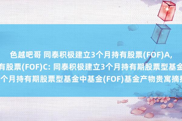 色越吧哥 同泰积极建立3个月持有股票(FOF)A，同泰积极建立3个月持有股票(FOF)C: 同泰积极建立3个月持有期股票型基金中基金(FOF)基金产物贵寓摘抄更新