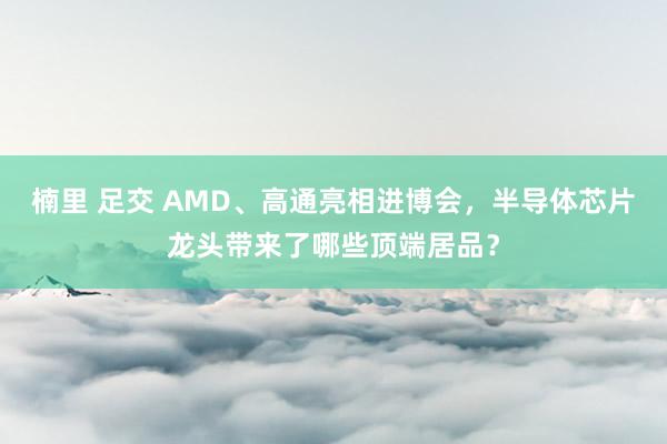 楠里 足交 AMD、高通亮相进博会，半导体芯片龙头带来了哪些