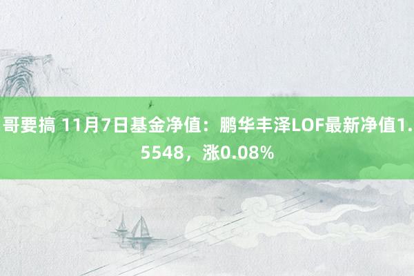 哥要搞 11月7日基金净值：鹏华丰泽LOF最新净值1.554