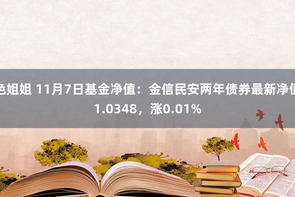 色姐姐 11月7日基金净值：金信民安两年债券最新净值1.03