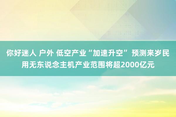 你好迷人 户外 低空产业“加速升空” 预测来岁民用无东说念主机产业范围将超2000亿元