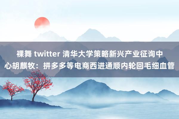 裸舞 twitter 清华大学策略新兴产业征询中心胡麒牧：拼多多等电商西进通顺内轮回毛细血管