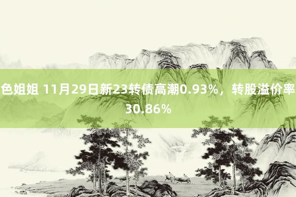 色姐姐 11月29日新23转债高潮0.93%，转股溢价率30.86%