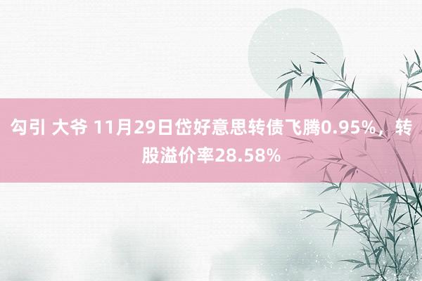 勾引 大爷 11月29日岱好意思转债飞腾0.95%，转股溢价率28.58%