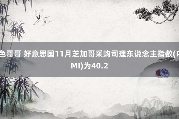 色哥哥 好意思国11月芝加哥采购司理东说念主指数(PMI)为40.2