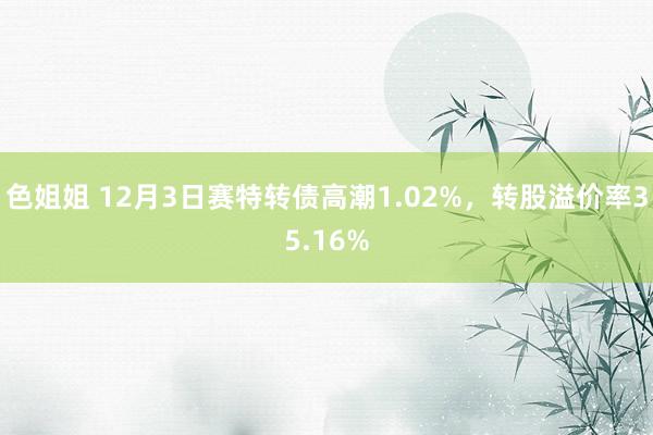 色姐姐 12月3日赛特转债高潮1.02%，转股溢价率35.16%