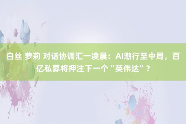 白丝 萝莉 对话协调汇一凌晨：AI潮行至中局，百亿私募将押注下一个“英伟达”？