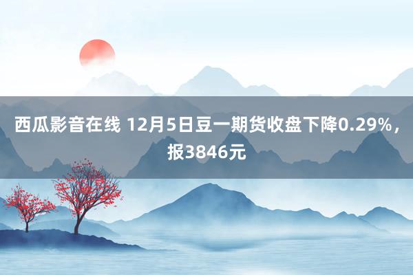 西瓜影音在线 12月5日豆一期货收盘下降0.29%，报3846元