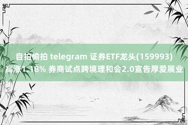 自拍偷拍 telegram 证券ETF龙头(159993)高涨1.18% 券商试点跨境理和会2.0宣告厚爱展业