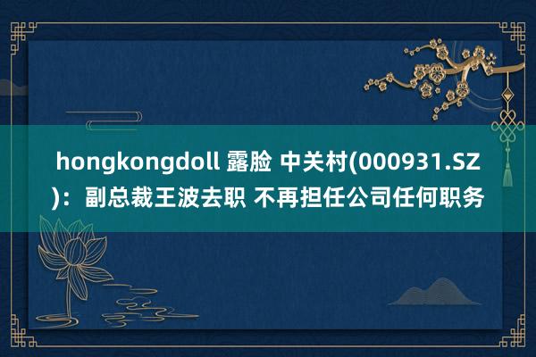 hongkongdoll 露脸 中关村(000931.SZ)：副总裁王波去职 不再担任公司任何职务