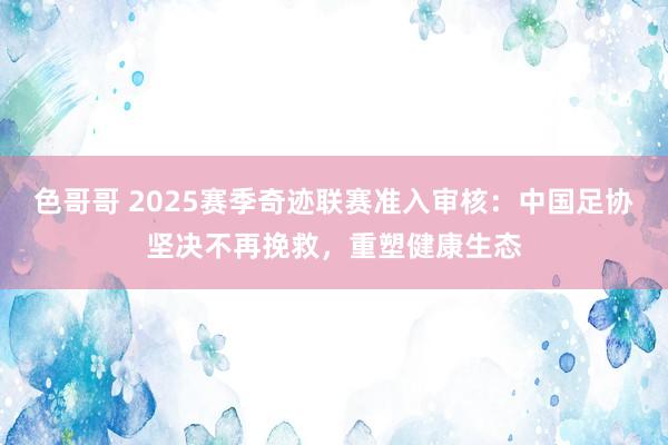 色哥哥 2025赛季奇迹联赛准入审核：中国足协坚决不再挽救，重塑健康生态