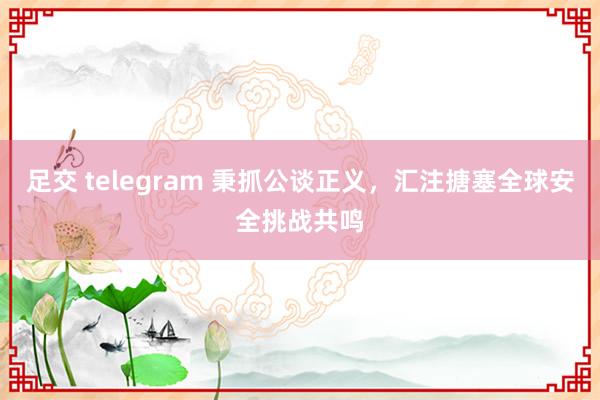 足交 telegram 秉抓公谈正义，汇注搪塞全球安全挑战共鸣