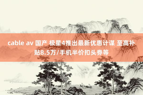 cable av 国产 极星4推出最新优惠计谋 至高补贴8.5万/手机半价扣头劵等