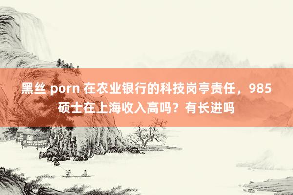 黑丝 porn 在农业银行的科技岗亭责任，985硕士在上海收入高吗？有长进吗