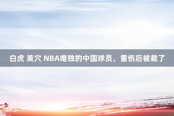 白虎 美穴 NBA唯独的中国球员，重伤后被裁了