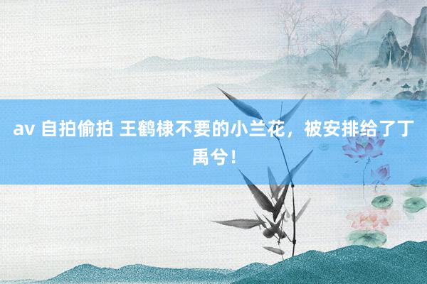 av 自拍偷拍 王鹤棣不要的小兰花，被安排给了丁禹兮！