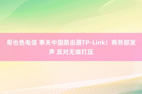 哥也色电信 事关中国路由器TP-Link！商务部发声 反对无端打压