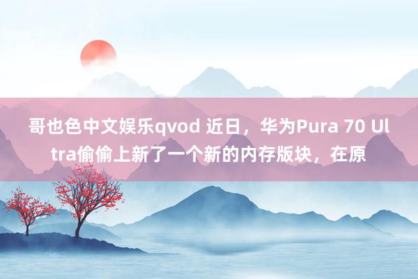 哥也色中文娱乐qvod 近日，华为Pura 70 Ultra偷偷上新了一个新的内存版块，在原