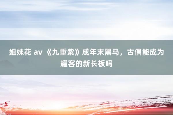 姐妹花 av 《九重紫》成年末黑马，古偶能成为耀客的新长板吗