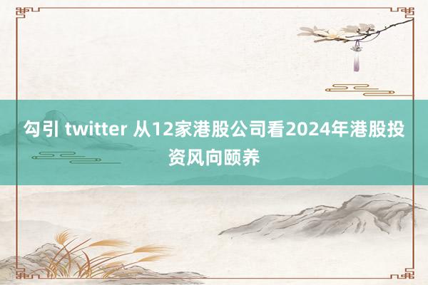 勾引 twitter 从12家港股公司看2024年港股投资风