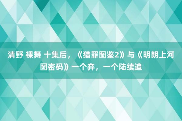 清野 裸舞 十集后，《猎罪图鉴2》与《明朗上河图密码》一个弃