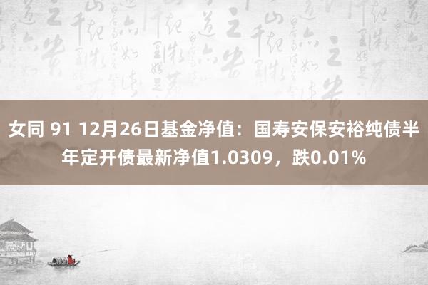 女同 91 12月26日基金净值：国寿安保安裕纯债半年定开债