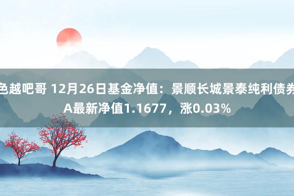 色越吧哥 12月26日基金净值：景顺长城景泰纯利债券A最新净