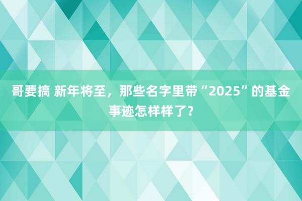 哥要搞 新年将至，那些名字里带“2025”的基金事迹怎样样了