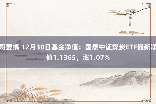 哥要搞 12月30日基金净值：国泰中证煤炭ETF最新净值1.