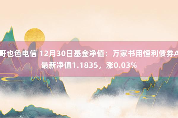 哥也色电信 12月30日基金净值：万家书用恒利债券A最新净值