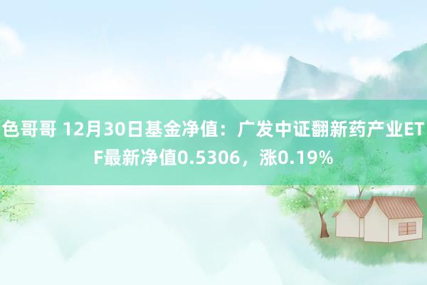 色哥哥 12月30日基金净值：广发中证翻新药产业ETF最新净