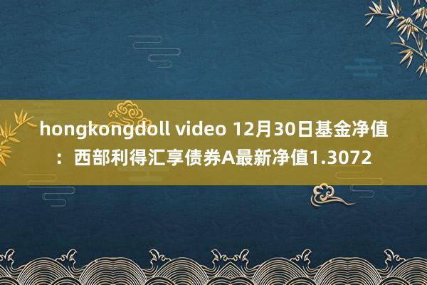 hongkongdoll video 12月30日基金净值：