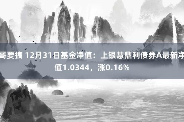 哥要搞 12月31日基金净值：上银慧鼎利债券A最新净值1.0344，涨0.16%