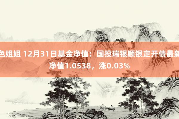 色姐姐 12月31日基金净值：国投瑞银顺银定开债最新净值1.0538，涨0.03%