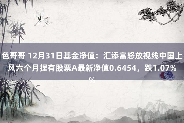 色哥哥 12月31日基金净值：汇添富怒放视线中国上风六个月捏有股票A最新净值0.6454，跌1.07%